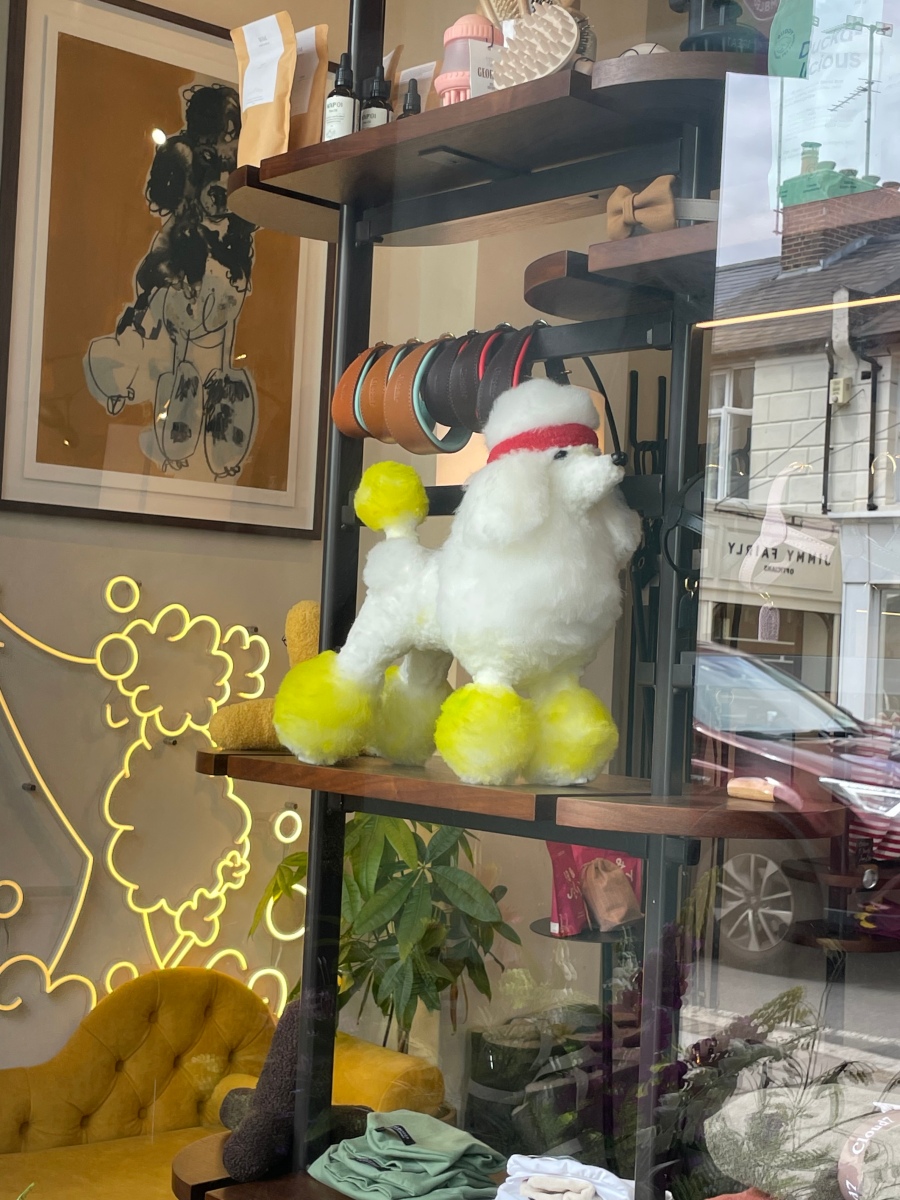 George’s Dog Boutique, Wimbledon Village 🎾